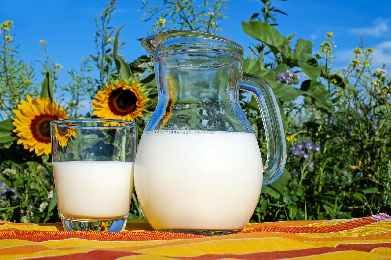 milk, glass, pitcher, fresh, fresh milk, drink, beverage, dairy, dairy products, glass pitcher, healthy, delicious, vitamins, liquid, cows milk, protein, nutrition, milk, milk, milk, milk, milk