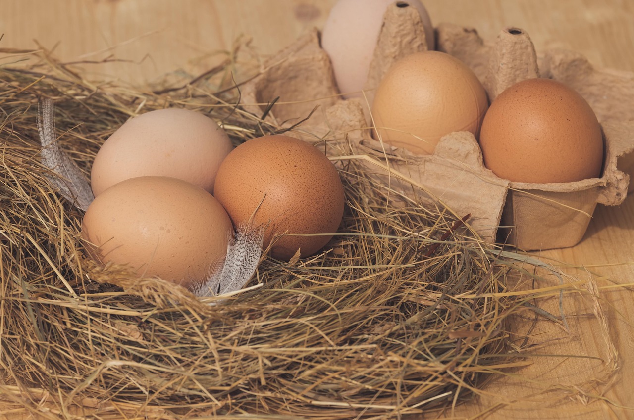 nest, chicken eggs, brown, hay, chicken product, nourishment, food, eggs, bio, naturally, natural product, package, nest, chicken eggs, chicken eggs, chicken eggs, chicken eggs, chicken eggs, eggs